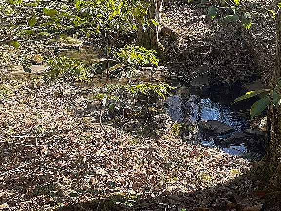 Back of Property-Creek