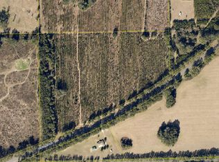 Hwy 247, Branford, FL 32008