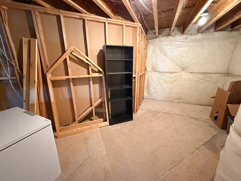Basement storage room and deep freezer