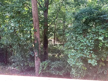 1927 Trexler Ct — Photo 6
