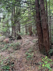 222 Russell Ln, Arcata, CA, 95521