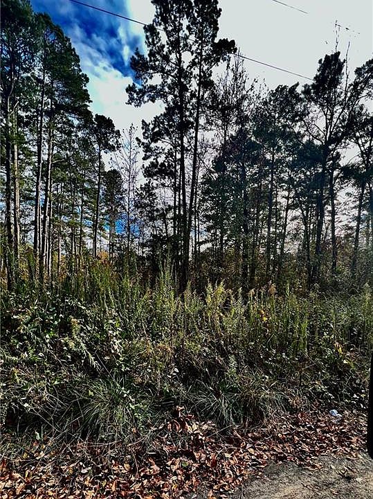 2nd image of 1 Kiamichi Ests