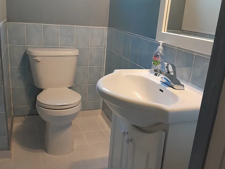 107 Birkdale Rd #BASEMENT — Photo 7