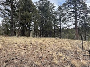 2869 N Mountain Estates Rd, Florissant, CO 80816