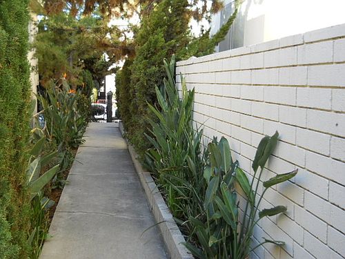 5th image of 1806 S Corinth Ave #9