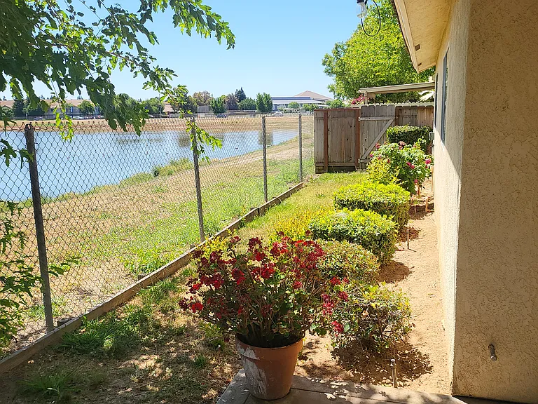 View from patio towards pond