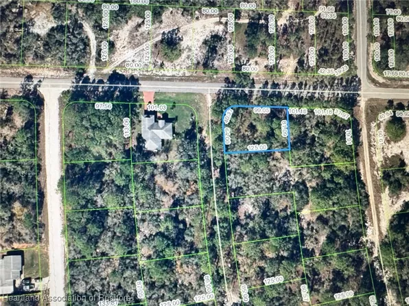 351 Jack Weisser Blvd, Lake Placid, FL 33852