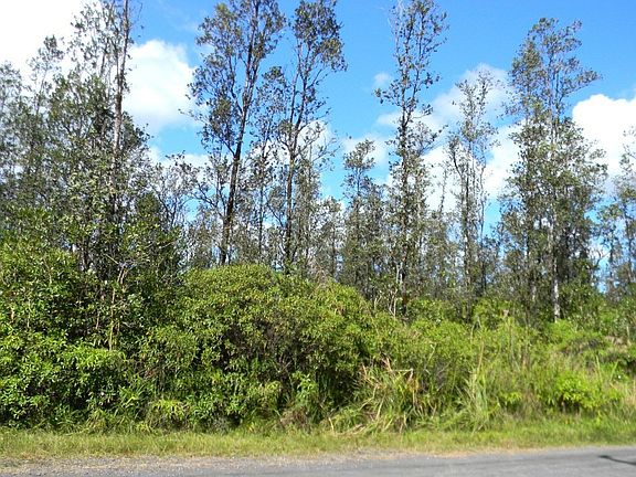 3rd image of Orchid Land Dr Lot 93