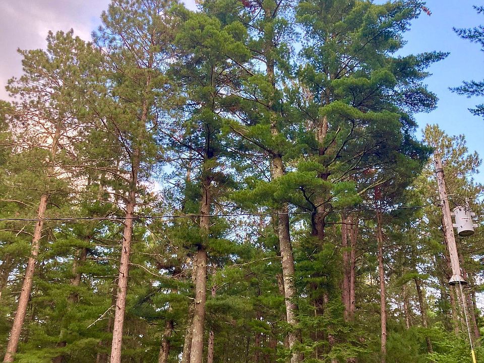 353 S Lake Lawrence Rd NE, Outing, MN 56662 MLS 6378925 Zillow