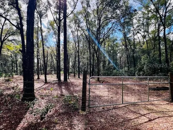 NW 36th Ln Lot 54, Bell, FL 32619