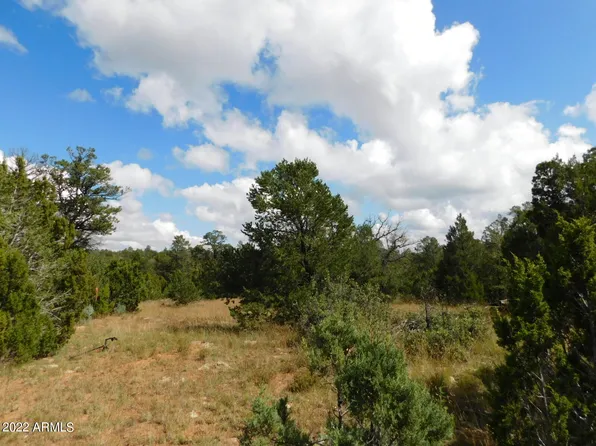 8384 Haven Crest Drive #222, Happy Jack, AZ 86024