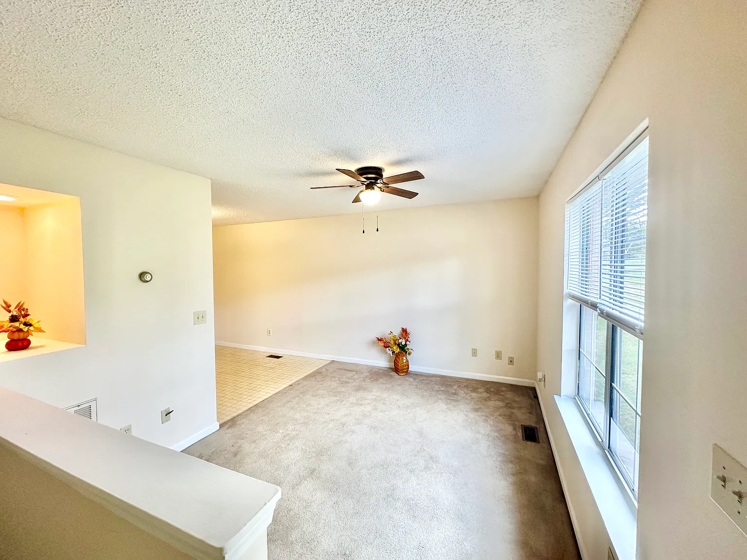 1 bed, $995 — Photo 2