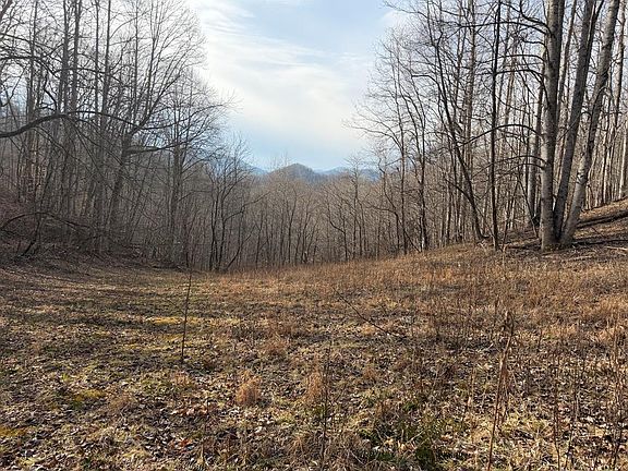 3rd image of 491 Otter Mountain Rd