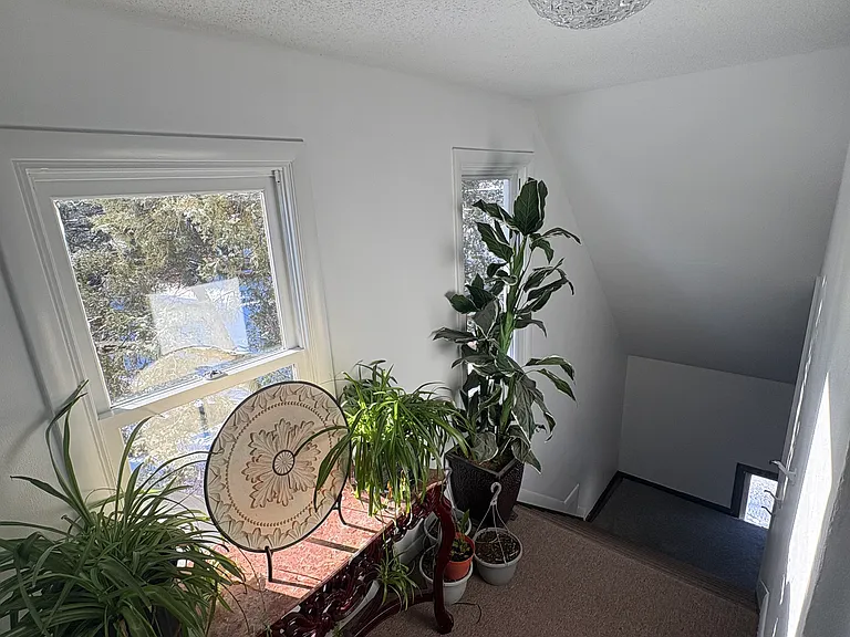 909 W Olive St #A — Photo 16