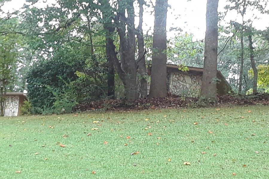 2nd image of 3341 Idle Creek Way