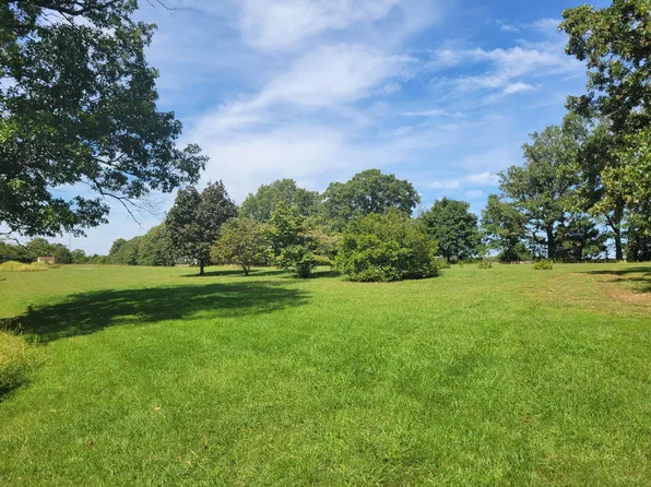 000 Bluebird Lane, Fordland, MO 65652