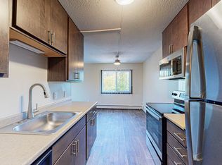 Meadowview Apartments, Anoka, MN 55303