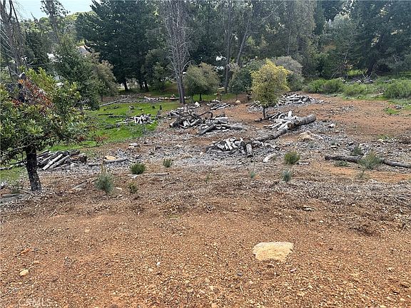 3rd image of 3382 Pine Terrace Dr Lot 24