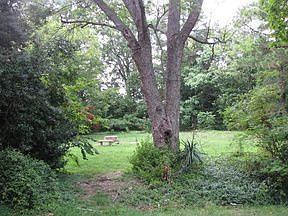 1st image of 2811 Branchwood Dr