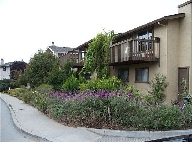 1st image of 117 Tiburon Ct