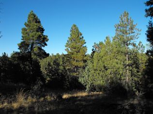 709 Ceremony Ln, Happy Jack, AZ 86024