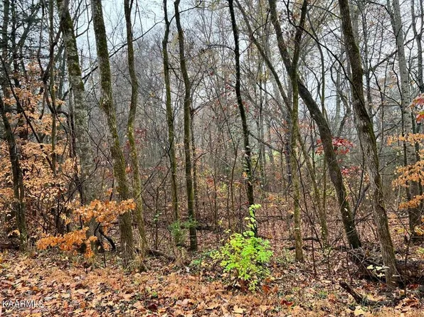 6 Butler Rd, Decatur, TN 37322