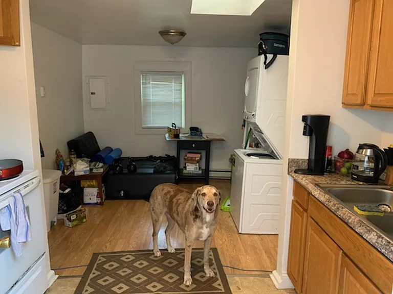 1417 S Walnut St #C — Photo 12