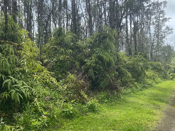 Molokai Rd Lot 338, Pahoa, HI 96778