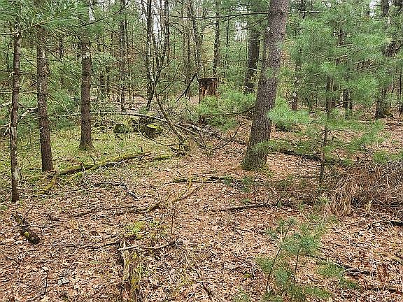 3rd image of 5415 E 28th St Lot A