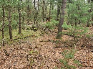 5415 E 28th St LOT F, White Cloud, MI 49349