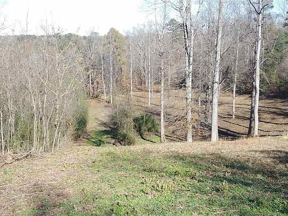 3rd image of 199 Depaul Way Lot 2