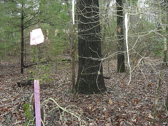 5th image of 23407 Pine Dr