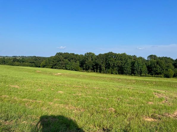 53 Highway, Clio, AL 36017