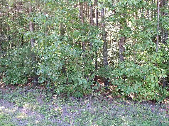 4th image of 23 Hidden Creek Ln Lot 23
