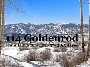 114 Goldenrod Rd, Avon, CO 81620