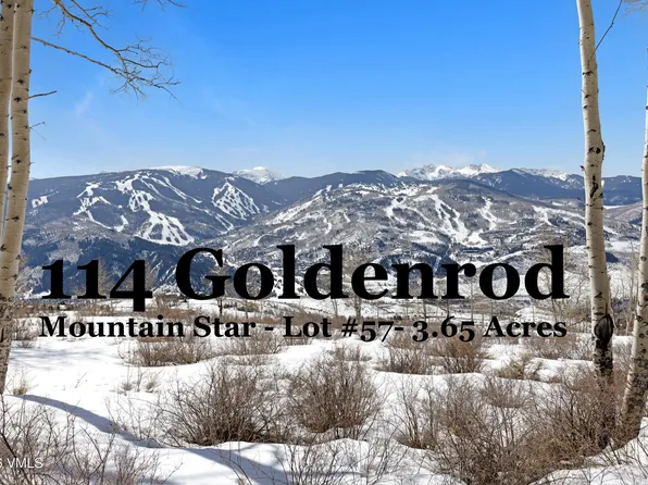 114 Goldenrod Rd, Avon, CO 81620