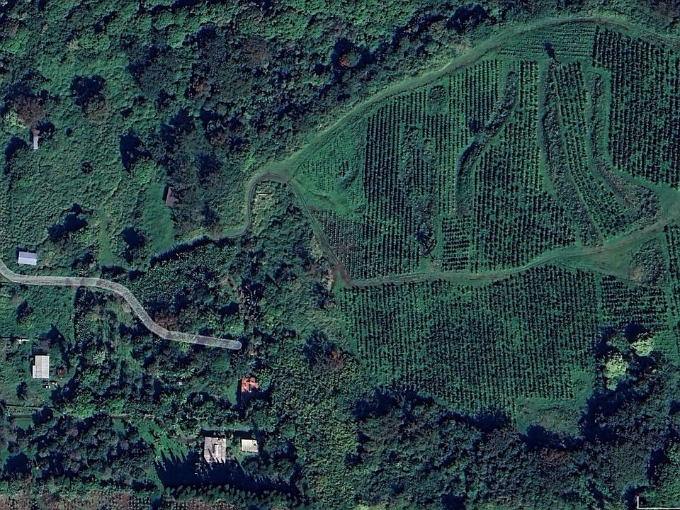 1st image of LOT 36