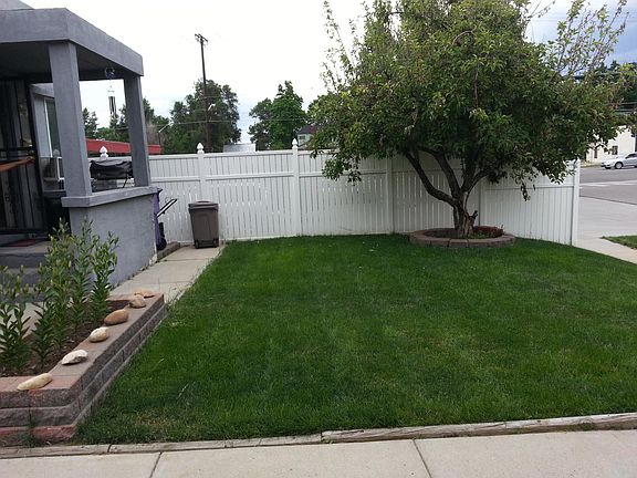 Front yard