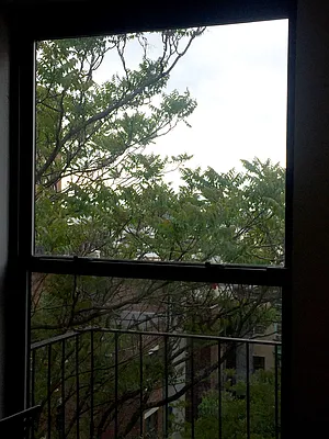 Rented by Yorgan Group, LLC | media 39