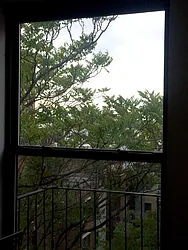 Rented by Yorgan Group, LLC