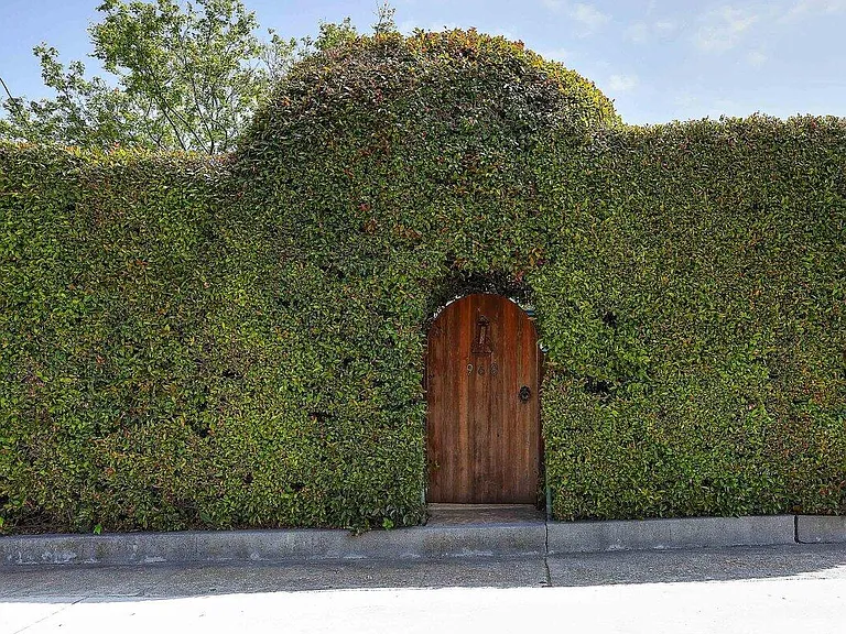0 Medio Rd — Photo 2