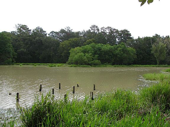Standing at the waters edge looking right