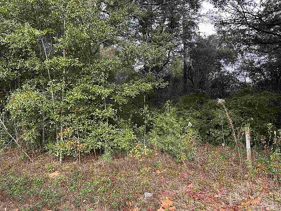 2nd image of 3780 Legend Creek Dr