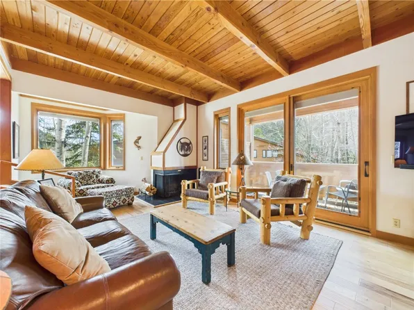 620 Tennis Club Rd #1339, Montezuma, CO 80435