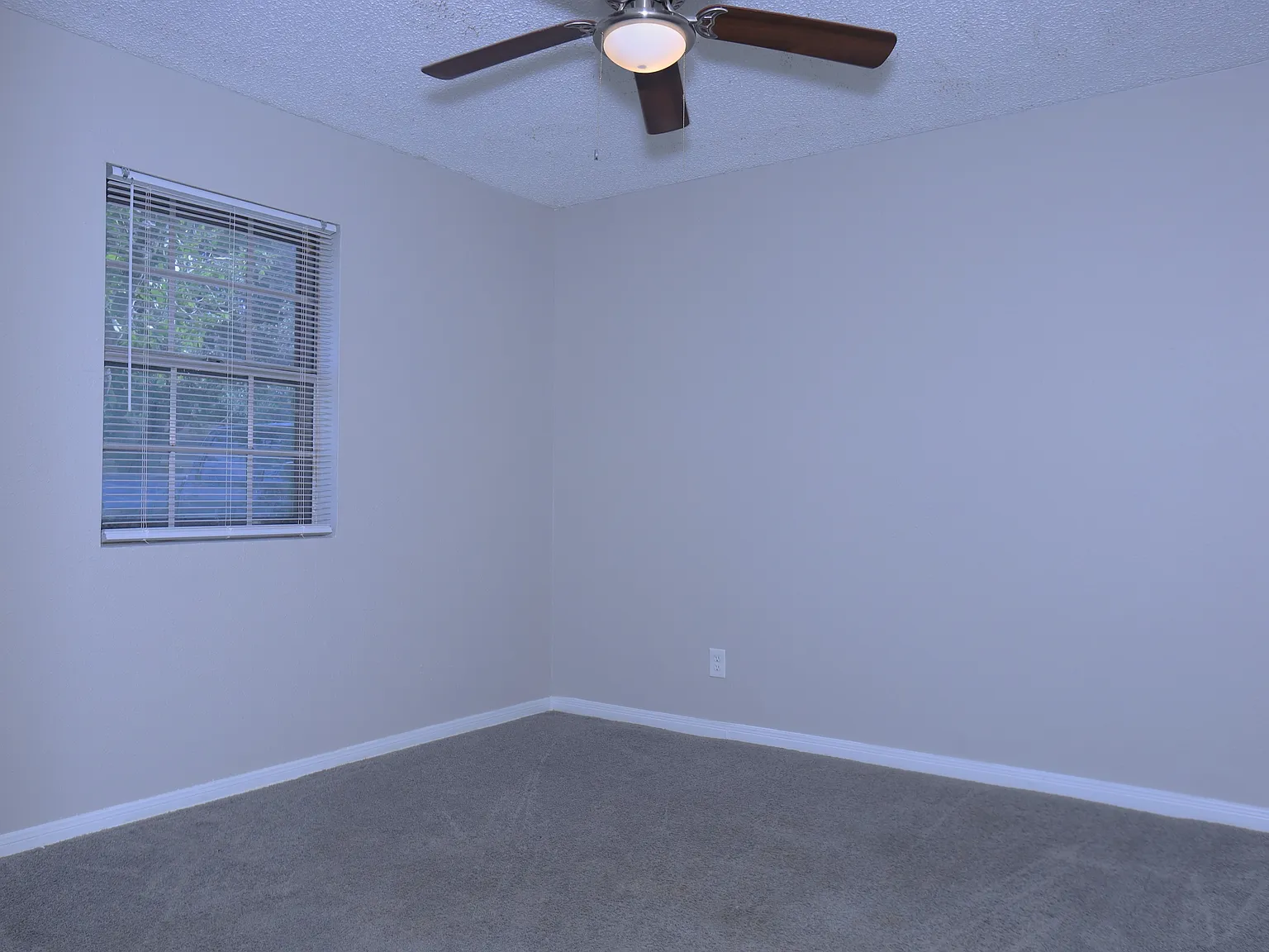 1117 County Road 515 / One Time - 1 — Photo 4