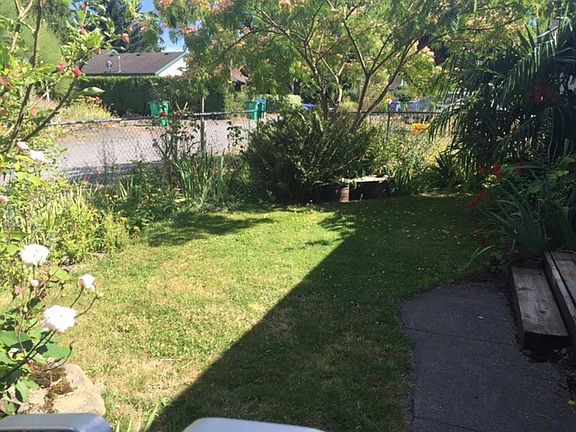 Front Yard