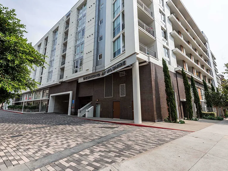 Desmond at Wilshire — Photo 33
