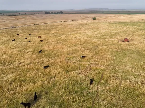 0 V Rd, Hunter, KS 67452