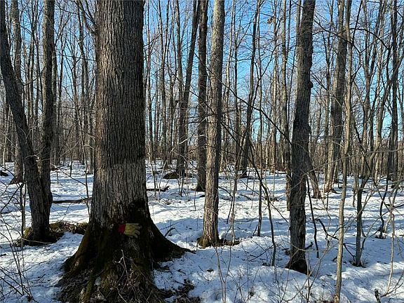 3rd image of 0000 Winter Rd