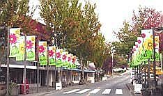 Downtown bothell is an easy stroll away